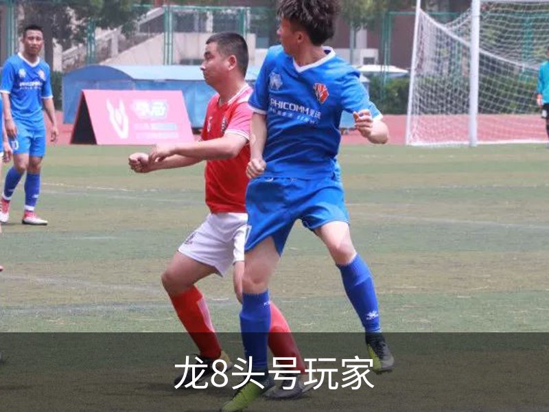 走进龙8头号玩家